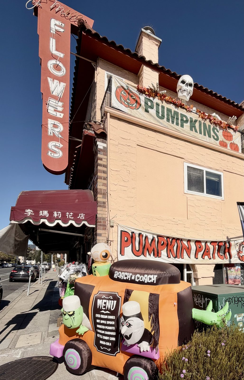 Piedmont Ave Pumpkin Patch Building