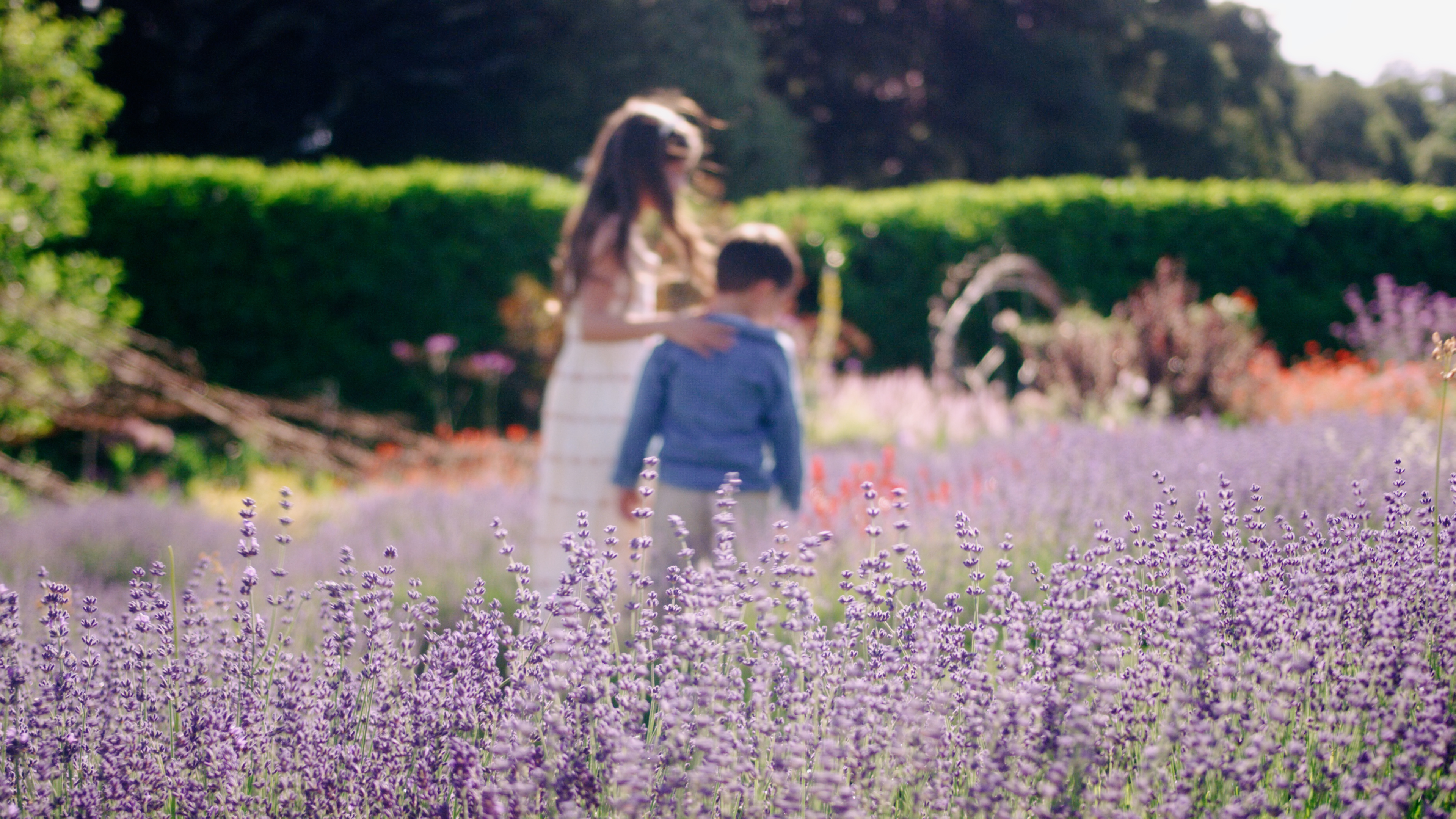 Insider's Garden Tour