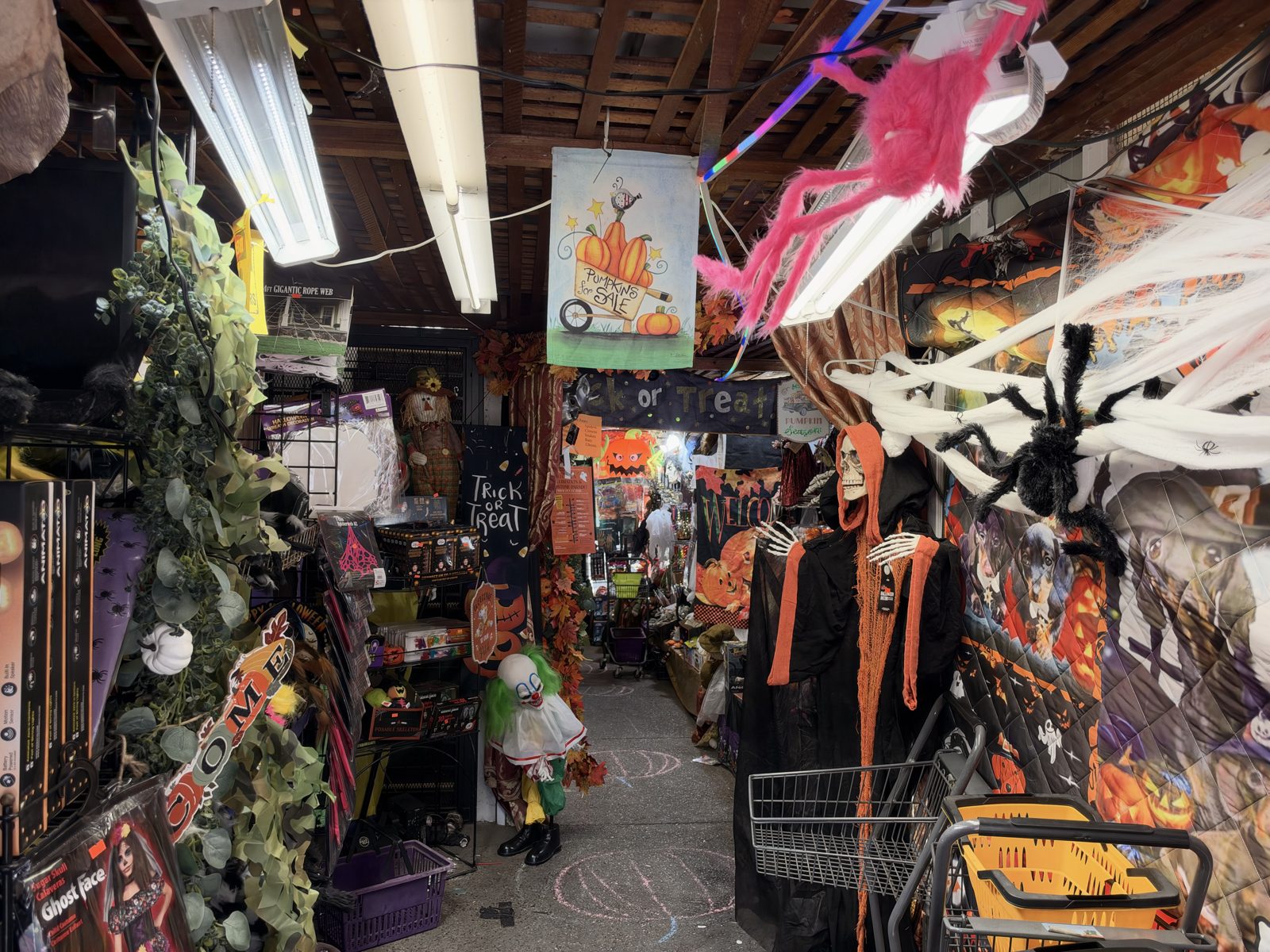 Piedmont Ave Halloween Store