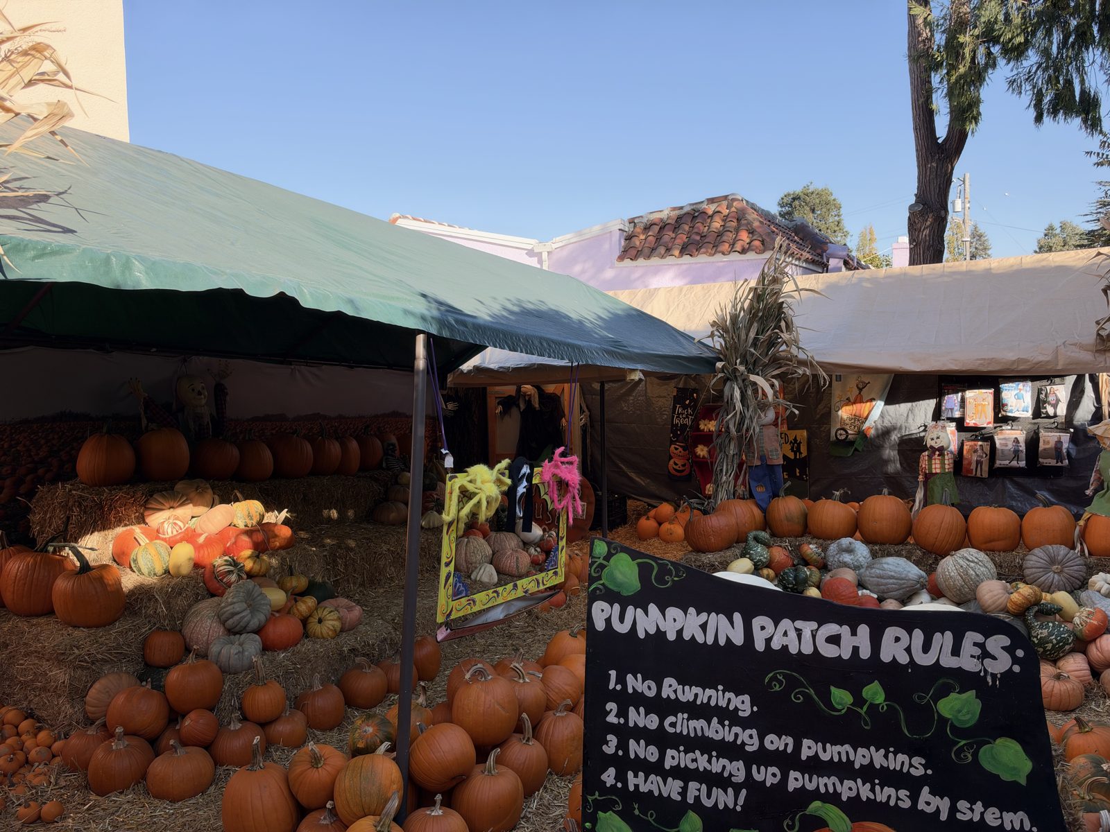 Piedmont Ave Pumpkin Patch