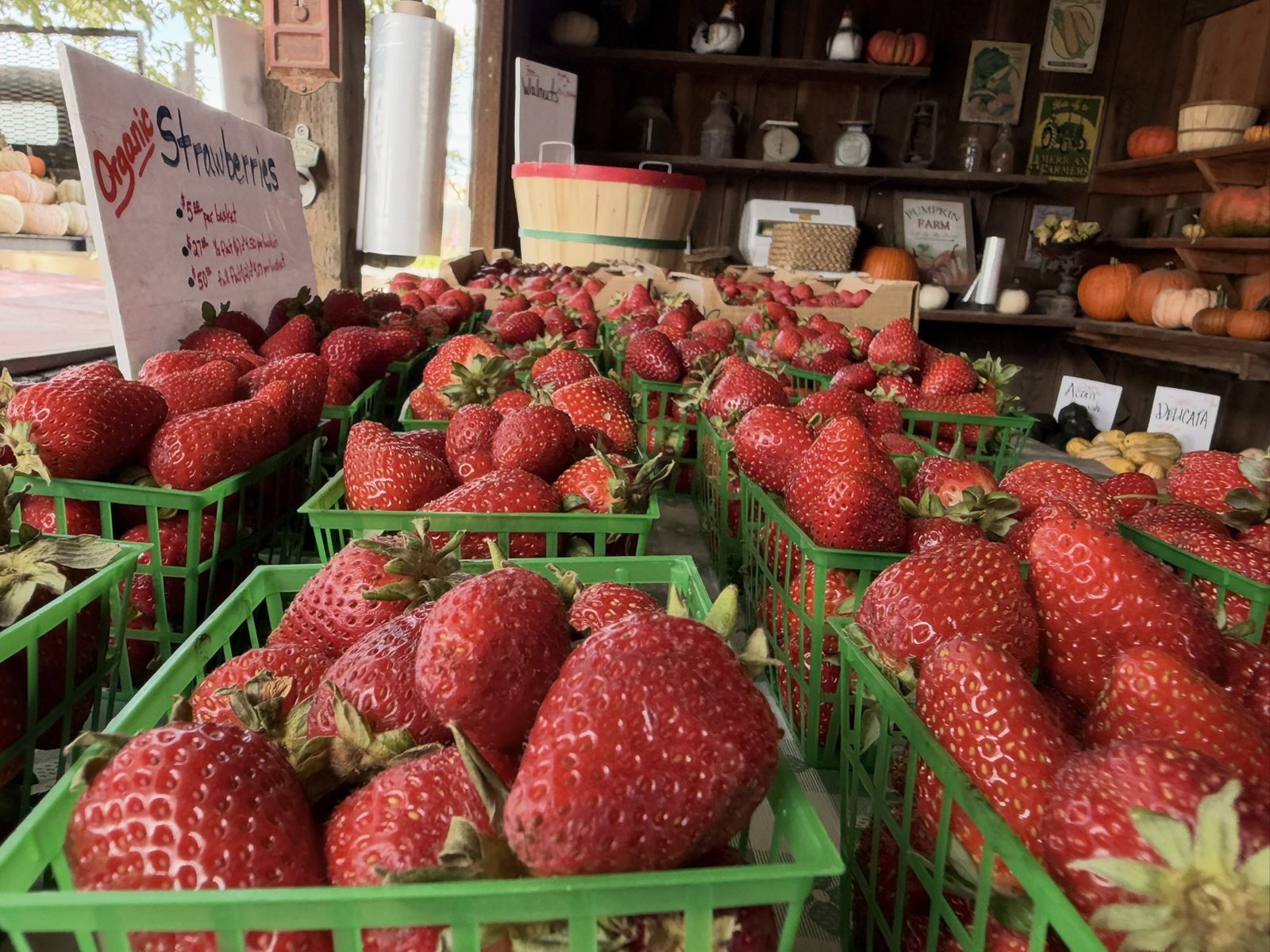 Smith Family Farm Strawberries