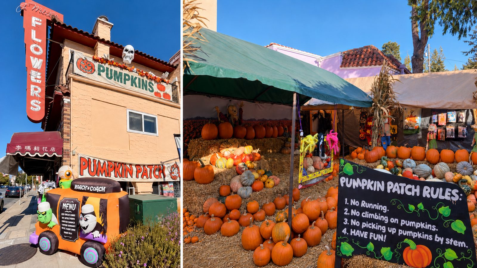 Piedmont Avenue Pumpkin Patch and Haunted House