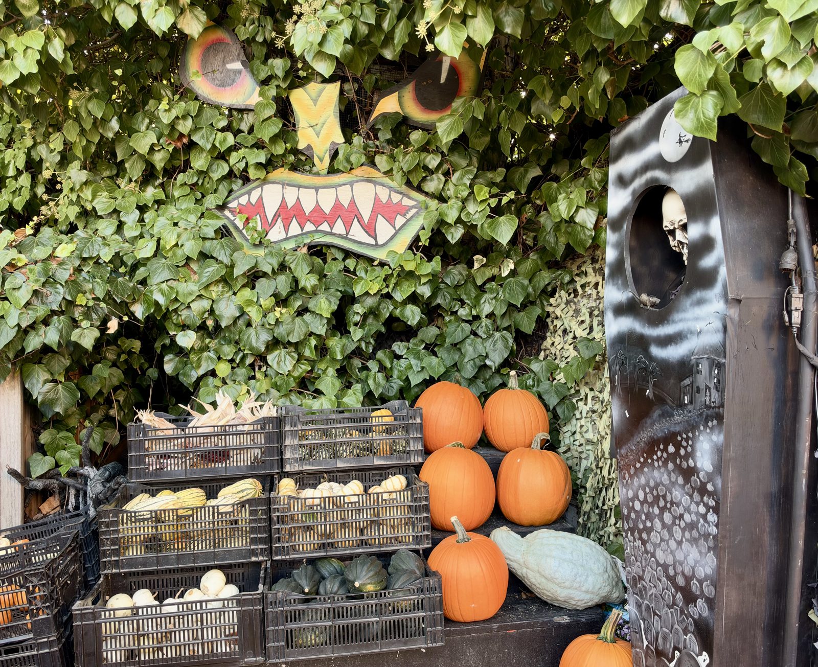 Piedmont Ave Pumpkin Patch Photo Op