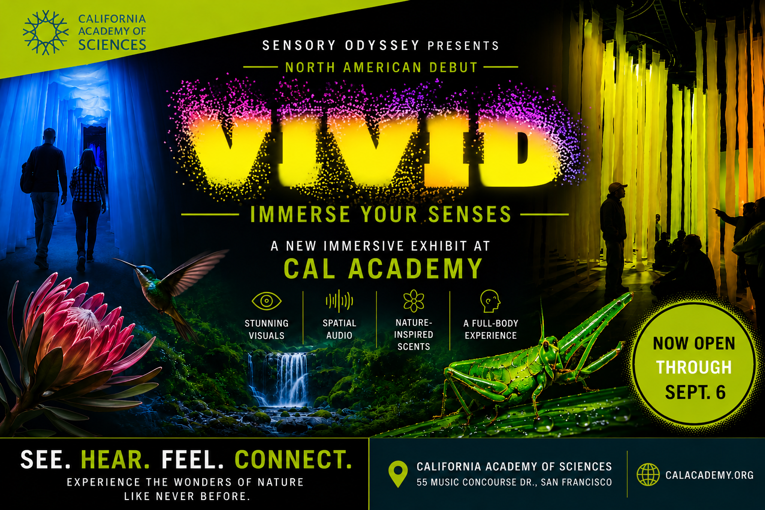 Vivid: Immerse Your Senses