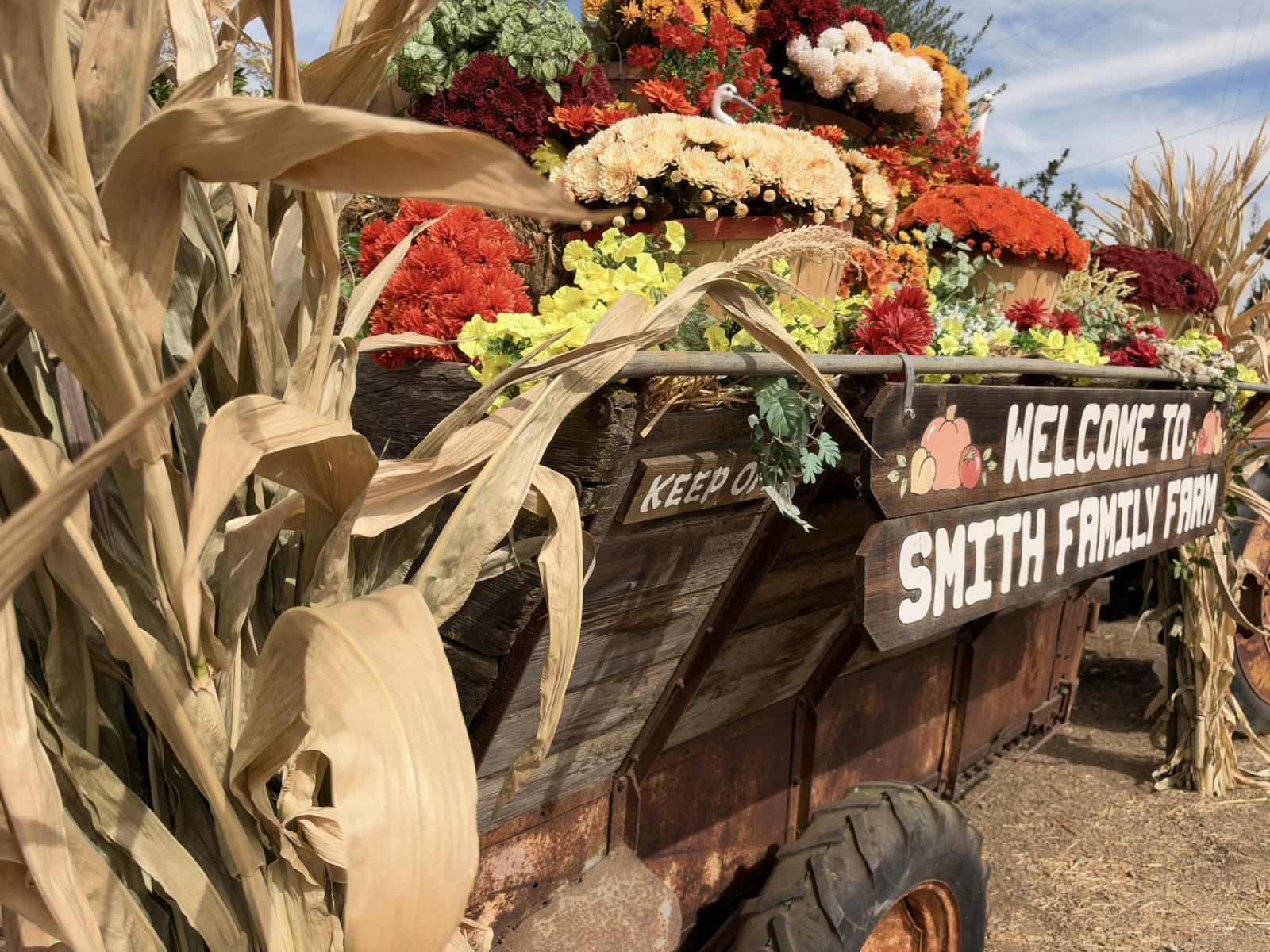 Sunday Drives: Pumpkins, Country Roads and Friendly Faces at Smith Family Farm
