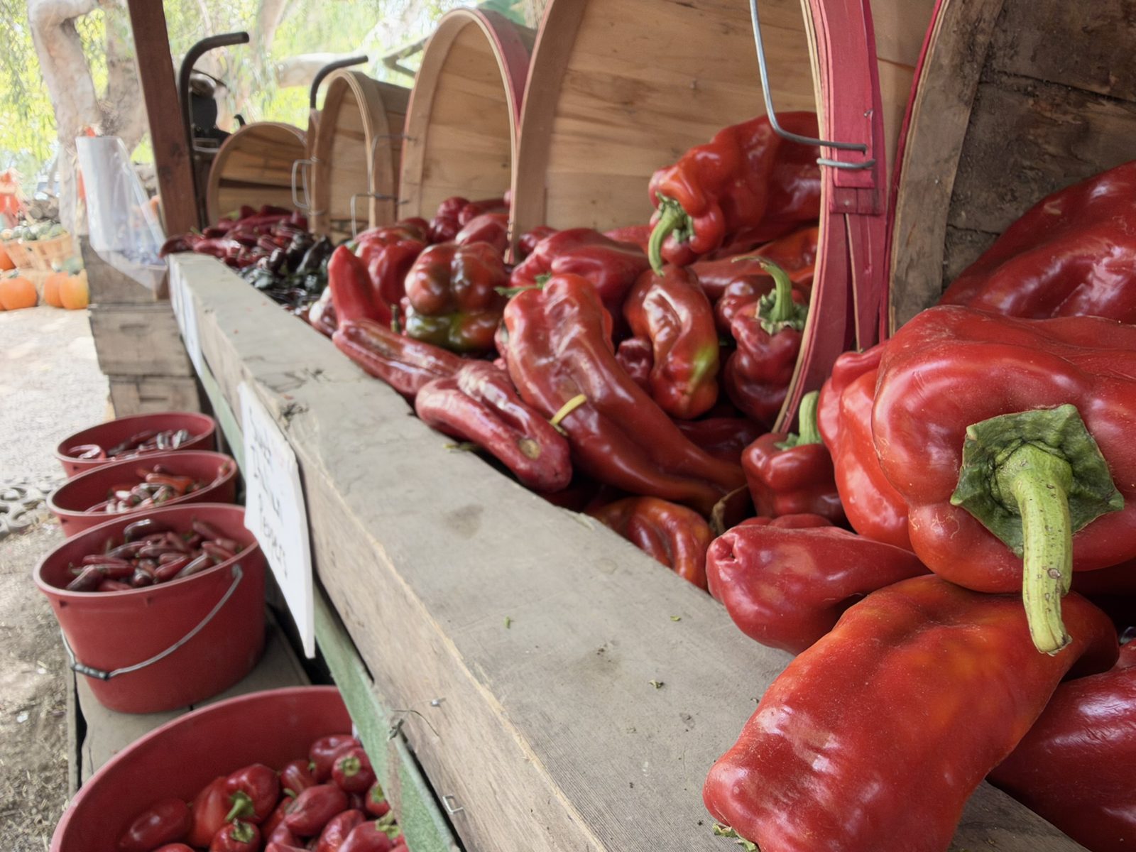Smith Family Farm Red Peppers